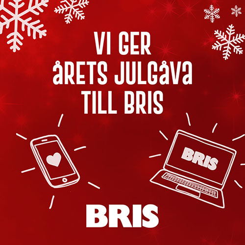 Ability Partners julgåva 2025 till Bris